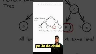 Perfect Binary Tree in DSA #ytshorts #shortvideo