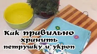 Как правильно хранить петрушку и укроп