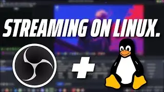 OBS ON LINUX! How do you set it up for streaming?