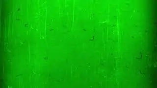 Green Screen and Black Screen Film effects video overlay
