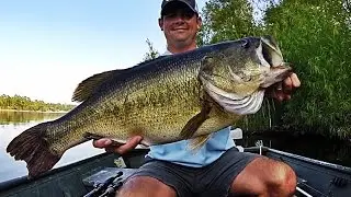 Topwater Bass Fishing Blowups Series 6 - 50 Big Bass Strikes