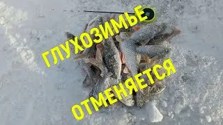 Глухозимье отменяется!!!!