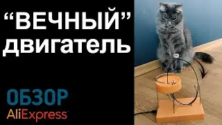 "ВЕЧНЫЙ ДВИГАТЕЛЬ" с Алиэкспресс Обзор вечный двигатель с шариками Дичь