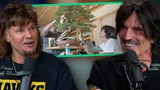 Tommy Lee LOVES Bonsai Trees