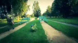 Traceur.RU - Conscription Commercial