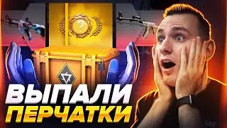 МЫ ВЫБИЛИ ПЕРЧАТКИ ИЗ НОВОГО REVOLUTION КЕЙСА В CS:GO