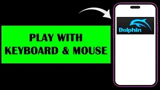 NEW! PLAY DOLPHIN EMULATOR WITH KEYBOARD AND MOUSE 2025! FULL GUIDE