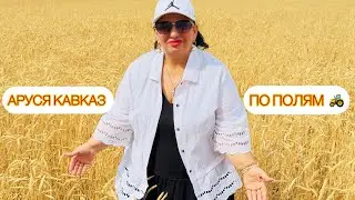 АРУСЯ КАВКАЗ ПО ПОЛЯМ СЕГОДНЯ ПОКАЗЫВАЮ КАК УБИРАЕМ ХЛЕБ 🌾! Из чего делают муку!? #арусякавказ #хлеб