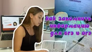 как запомнить информацию для ЕГЭ и ОГЭ? 100% эффективные методы