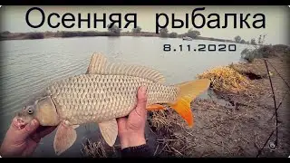 ✅ Осенняя Рыбалка 8.11.2020. Рыбалка в Маяках. Глубокий Турунчук