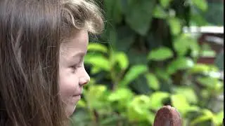 Toddler Girl Eating Popsicle