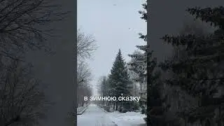 Первый снег в Сарове 