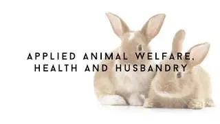 Animal Welfare Health and Husbandry introduction