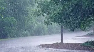 Rain Sound Effect