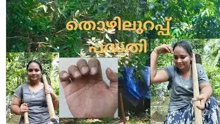 തൊഴിലുറപ്പ് പദ്ധതി