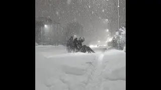 ясталкер 