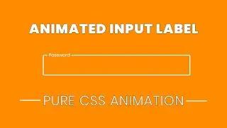 Animated Input Label using HTML and CSS | CSS Animations