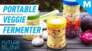 This All-In-One Fermentation Station Is Portable | Future Blink