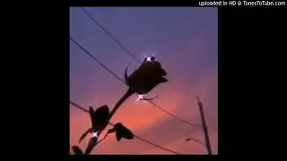 *FREE* TREFUEGO X LETOA X LILBUBBLEGUM TYPE BEAT 
