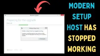 How to Fix Modern Setup Host Has Stopped Working on Windows 11