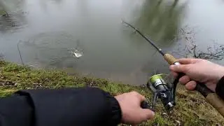 щука зимой
