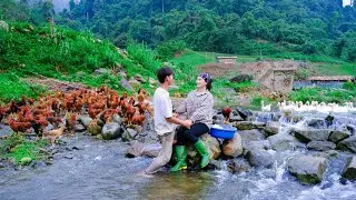 Sang Vy and his family, garden and build a tomato garden using natural materials