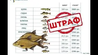 О новых штрафах за незаконный вылов рыбы в Украине 2021