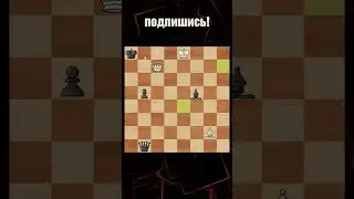 Блестящий этюд Троицкого!  