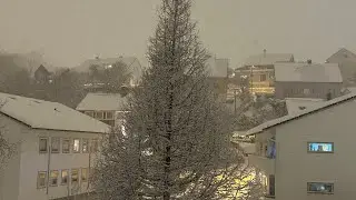 Bergen
