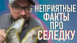 НЕПРИЯТНЫЕ ФАКТЫ О СЕЛЕДКЕ / ЧТО ДОЛЖЕН ЗНАТЬ ЛЮБИТЕЛЬ СЕЛЬДИ? ЖЕСТКАЯ ПРАВДА О СЕЛЬДИ