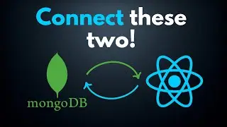 How to Connect a MongoDB Database to React