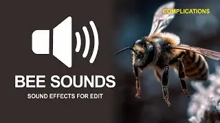 Bee sound effects for edits - SOUND EFFECT SUARA LEBAH