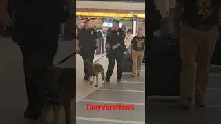 LAPD k9 Keeping Passengers Safe at LAX