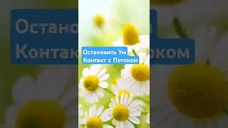 Остановить Машину Ума и Контакт с Потоком А.В.Клюев