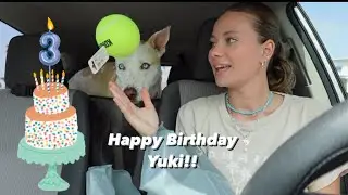 It's My Dog's 3rd BIRTHDAY!! Everything We Did To Celebrate It