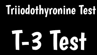 Triiodothyronine Test | T3 Tests | Thyroid Function Test |