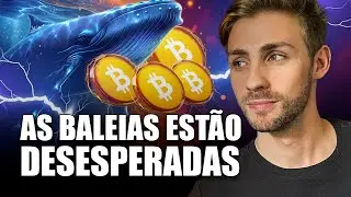 MERCADO CRIPTO: A FASE DE OTIMISMO COMEÇOU!