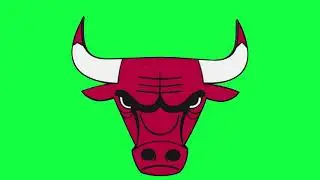 Chicago Bulls Green Screen Logo Loop Chroma Animation