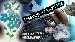 ТИМА БЕЛОРУССКИХ - НЕЗАБУДКА / РАЗБОР НА УКУЛЕЛЕ