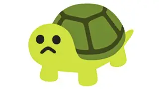 turtle