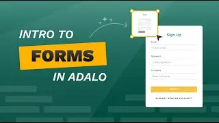 Introduction to Forms | A No Code App Builder Tutorial