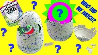 Hatchimals - Our Egg Hatched!