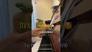 Занятие с учеником 🎹 #music #pianolessons #фортепианоснуля #piano #урокифортепиано #pianocover