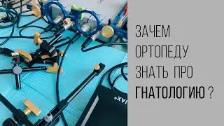 Зачем ортопеду знать основы гнатологии?