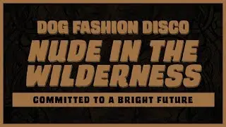 Dog Fashion Disco — 