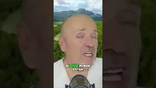 PORQUE EL CHIHUAHUA CABEZA DE VENADO NO ES UNA RAZA DE PERRO