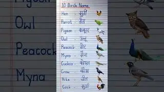 10 Birds name in English and Hindi | पक्षियों का नाम | #birdsnames #shorts