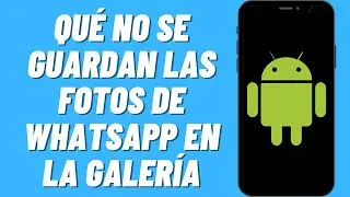 Por qué no se guardan las fotos de WhatsApp en la galería en Android (Solución)