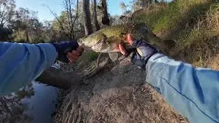 My First Trout Cod & It Was A Good One