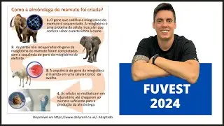 BIOLOGIA FUVEST 2024! 